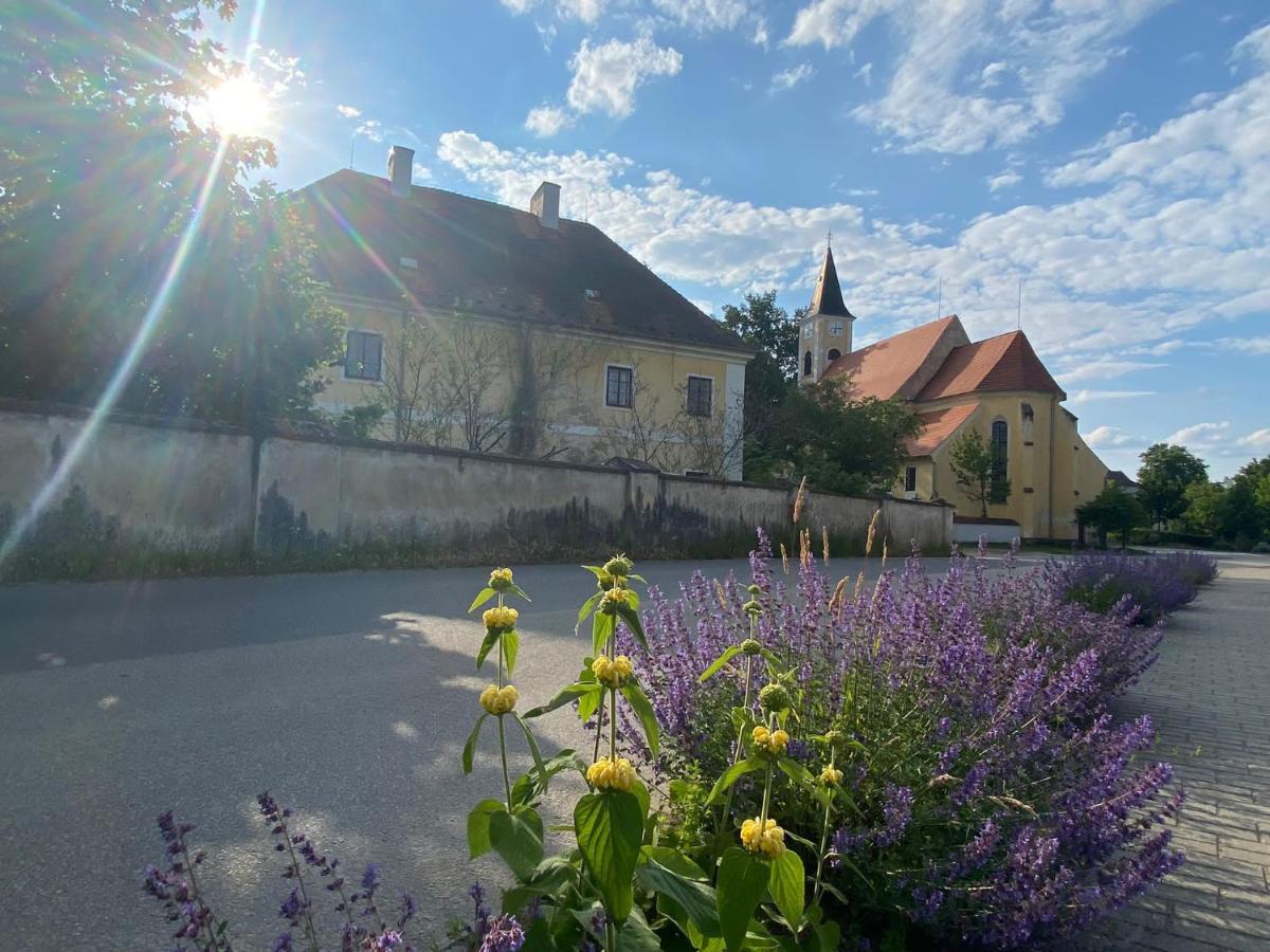 Apartman Beniskovec, Suchdol Nad Luznici Exterior foto